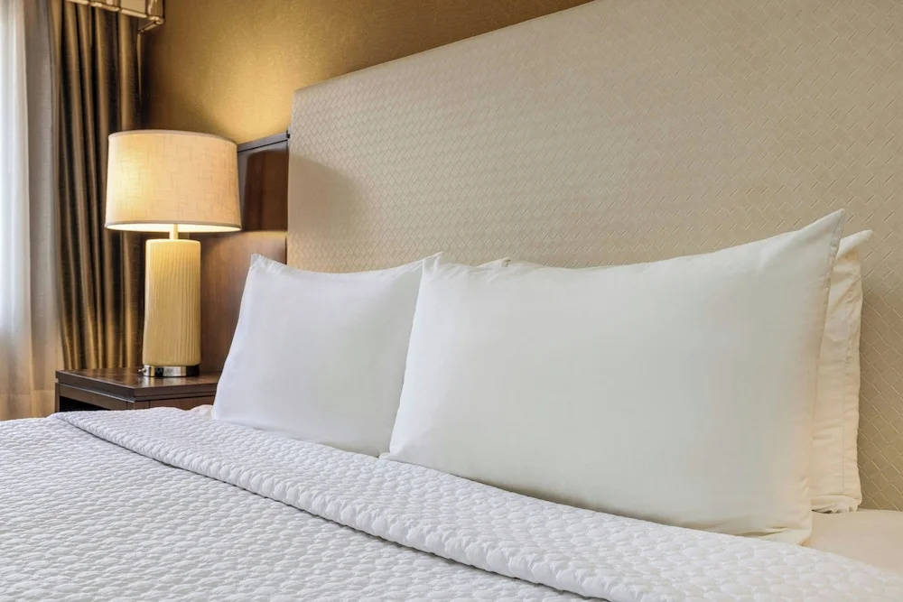 Hotel Dax - Chambres