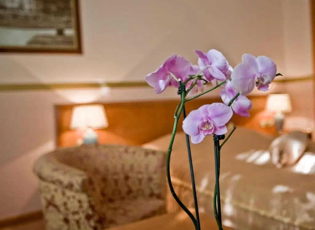 Hotel Park - Chambres