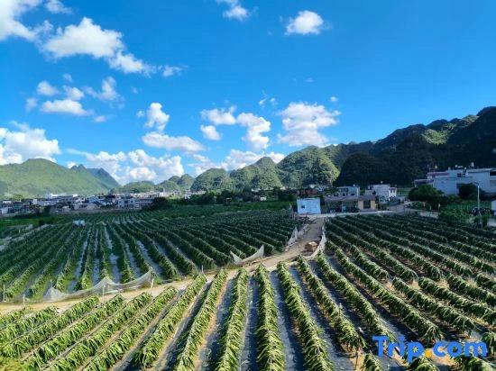 Jingyuechen Guesthouse