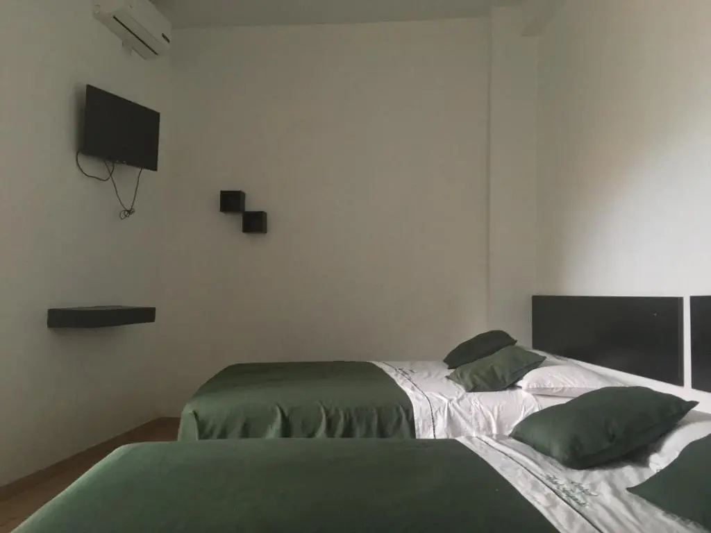 Standard Double room (twin beds)