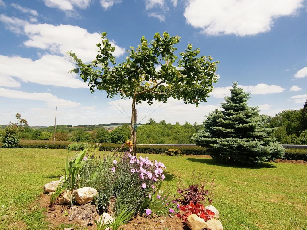 Beautiful Holiday Home Near Lake and Forest