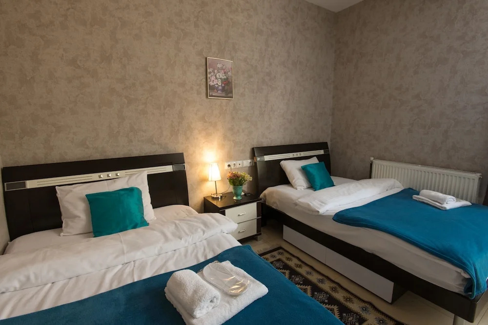 Standard Double room (twin beds)