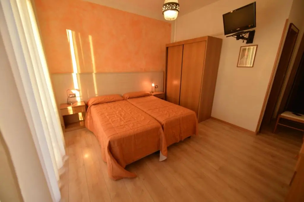 Standard Double room with lake view (full double bed)