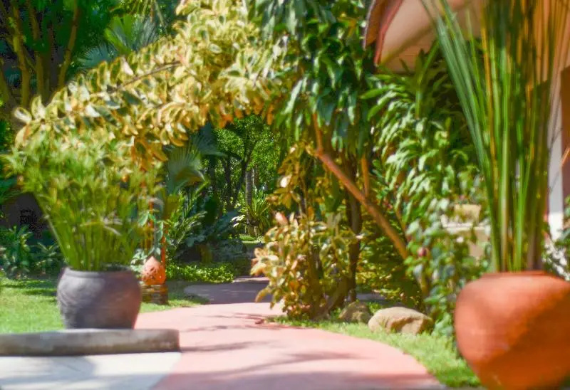 Samui Sense Beach Resort - Chambres