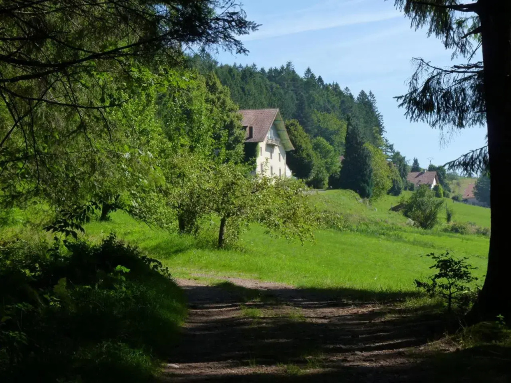 La Vigotte