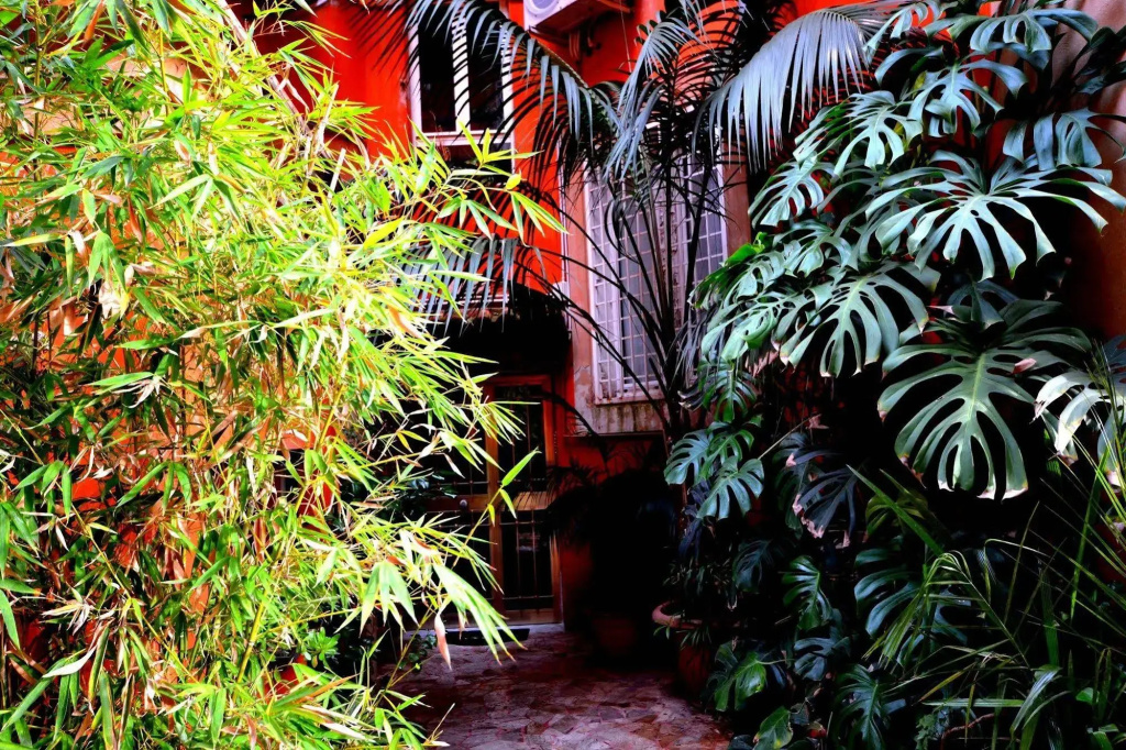 Hotel photo 13