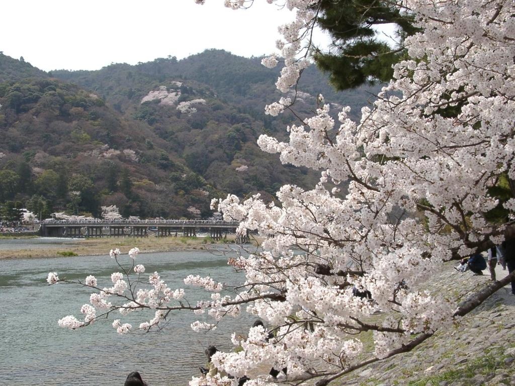 Guesthouse Kyoto Kaikonoyashiro 사진 3