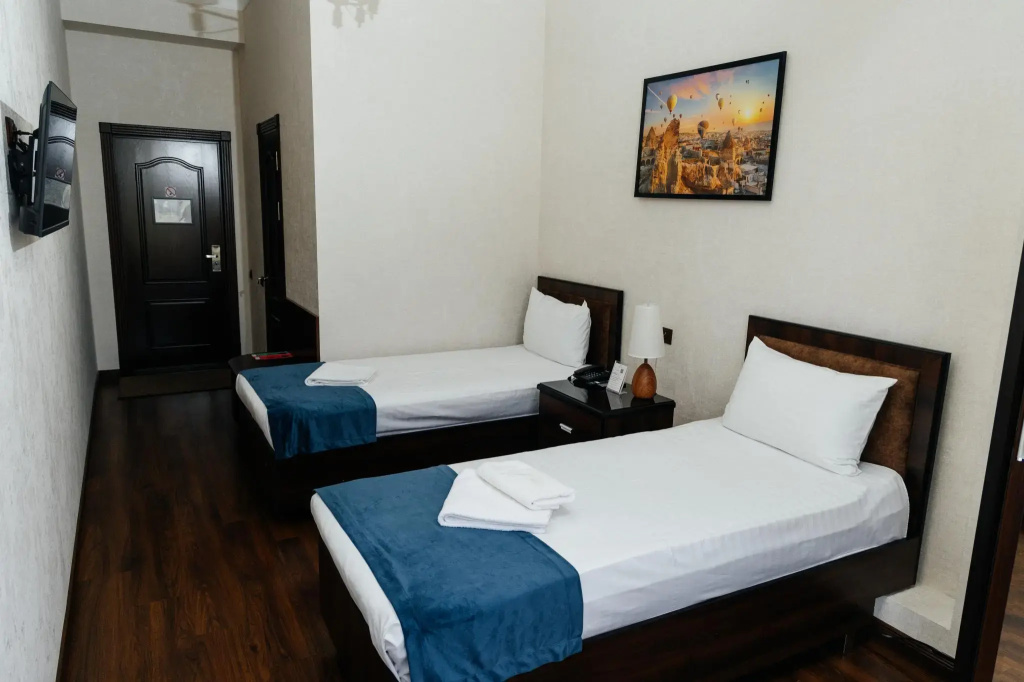 Standard Double room (twin beds)