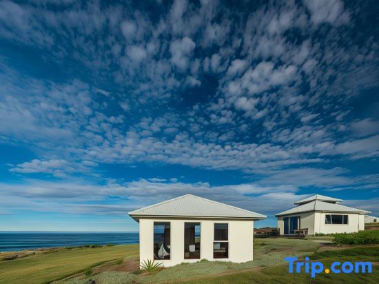 Saltwater Sunrise by null