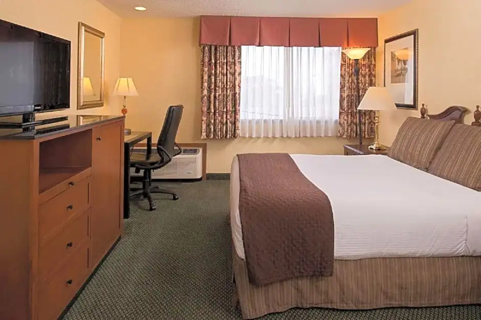 Standard Double room with pool view (full double bed)
