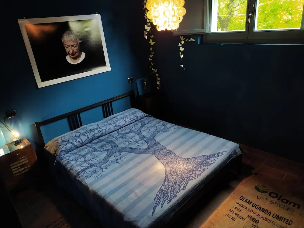 Standard Double Basement room (full double bed)