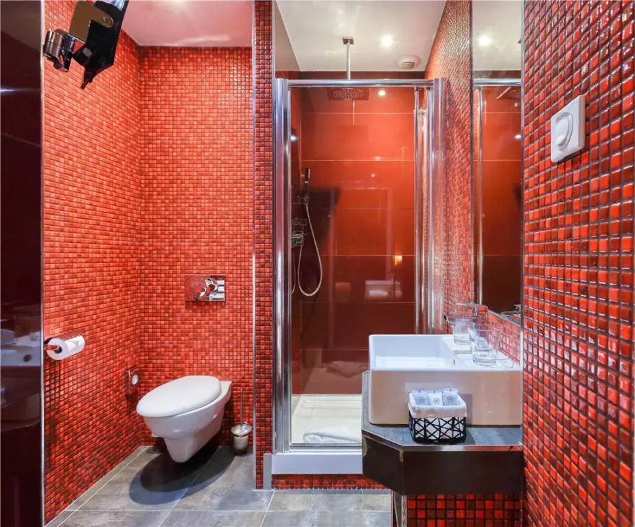 Hôtel Excelsior by HappyCulture - Général