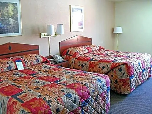 Quadruple Suite