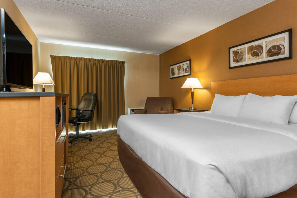 Comfort Inn West Edmonton - Chambres