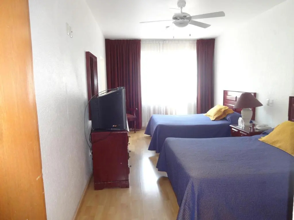 Standard Double room with view (twin beds)