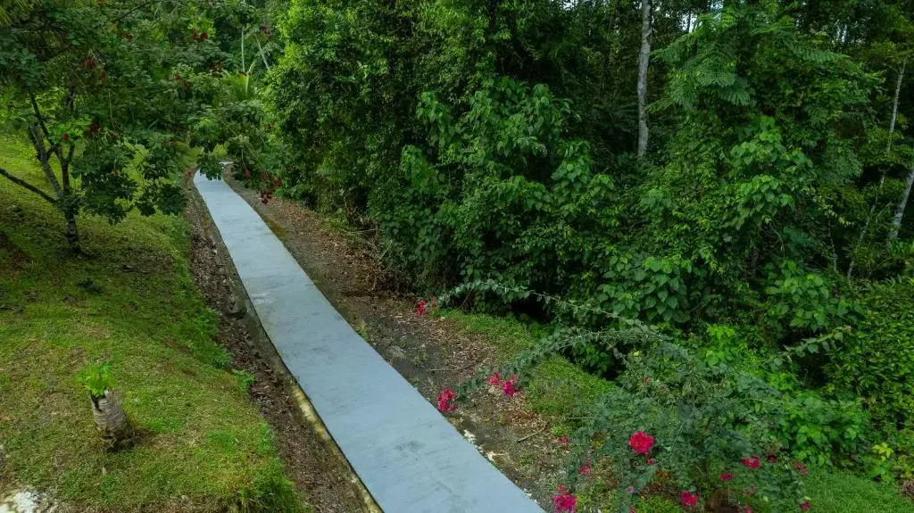 Serenity Rainforest Condos - фото 25