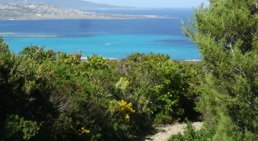 Case Vacanza Cala Lupo