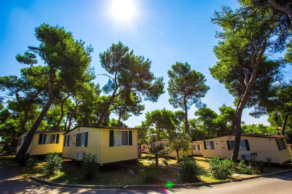Arena Indije Camping Homes