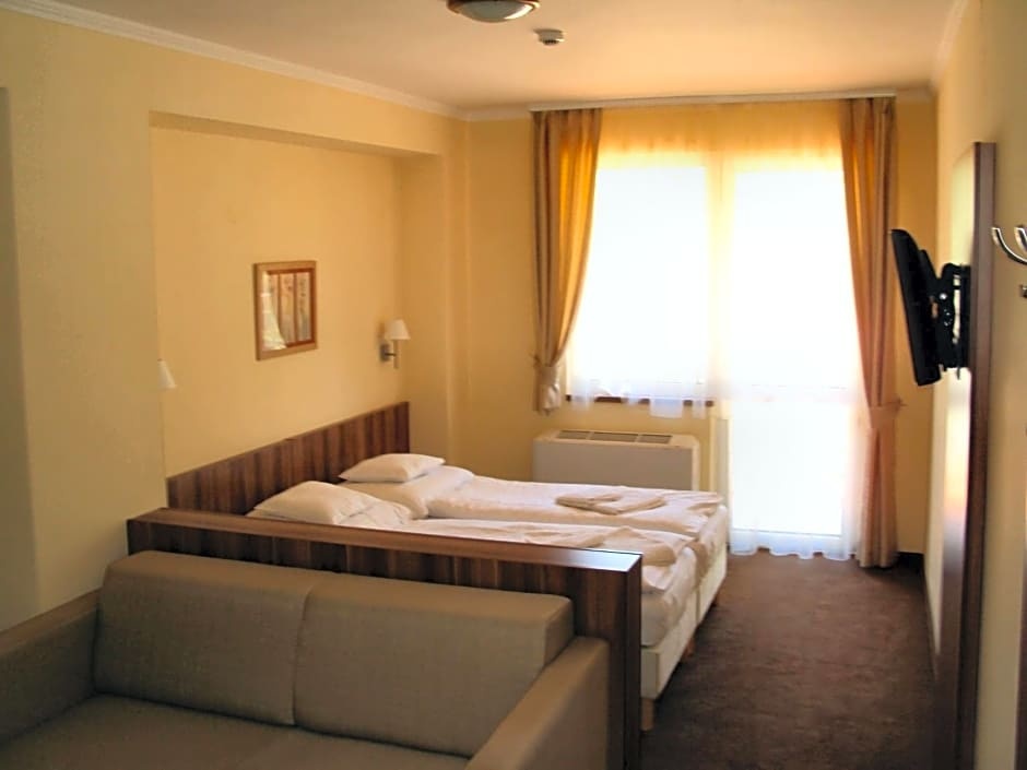 Standard room (full double bed and single bed)