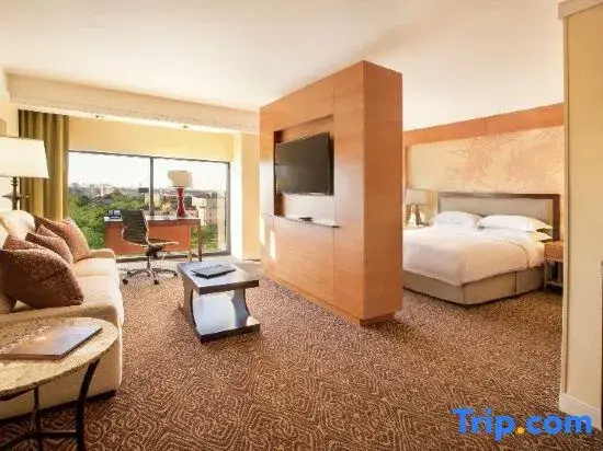 Hilton University of Houston - Chambres