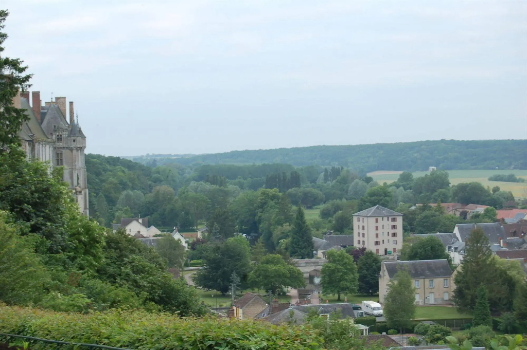 Hotel Des Couronnes Chateaudun - Général