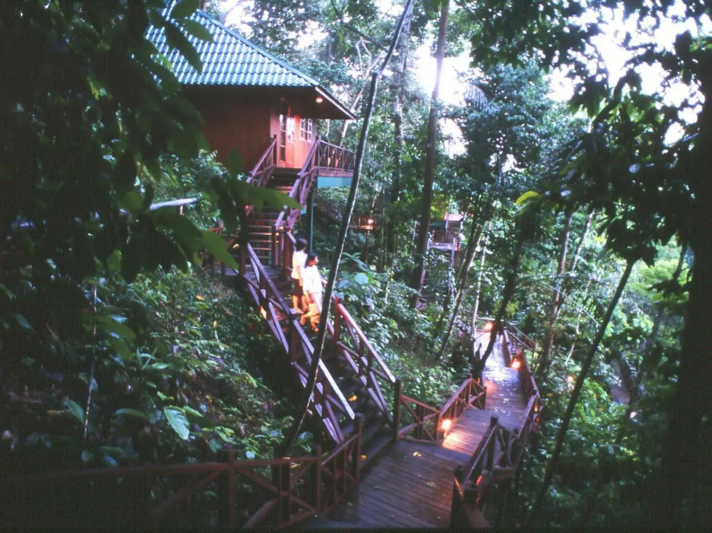 Tabin Wildlife Resort