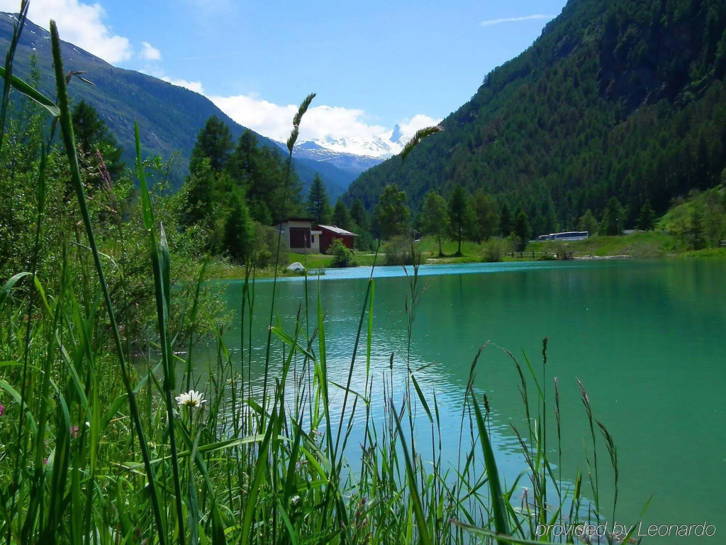 Aparthotel Monte Rosa - Tasch