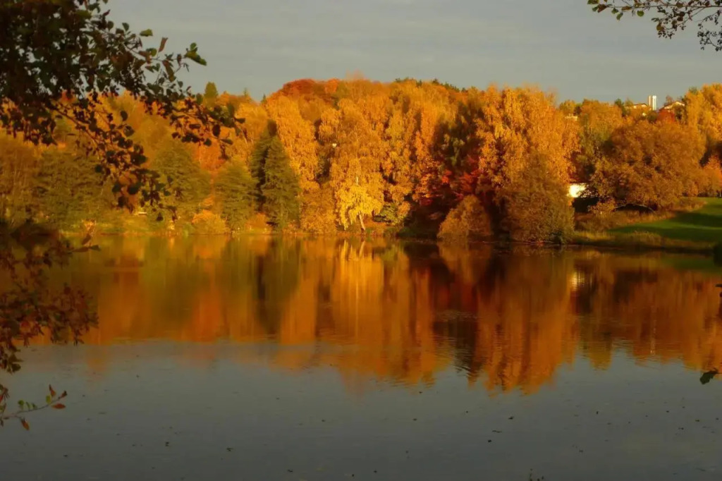 Munzert — фото 4