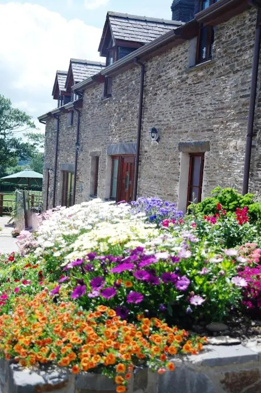 Gwarffynnon