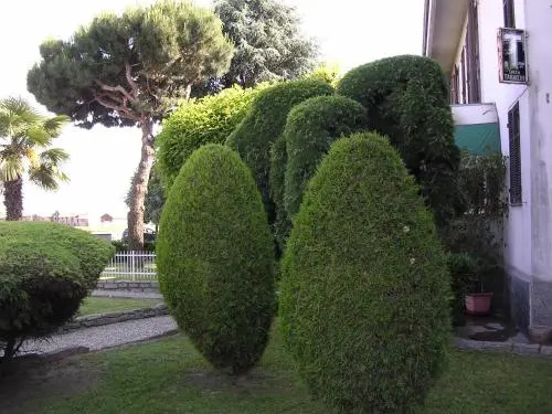 Cerruti Hotel