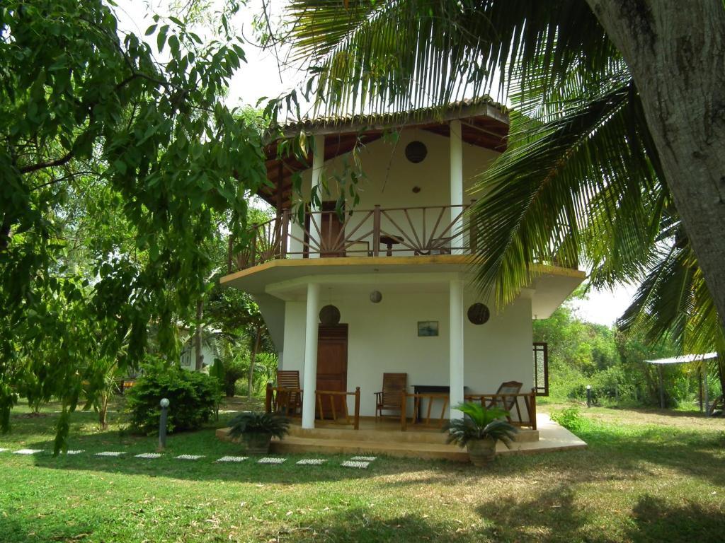 Coconut Island