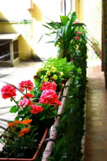 Legends Hostel