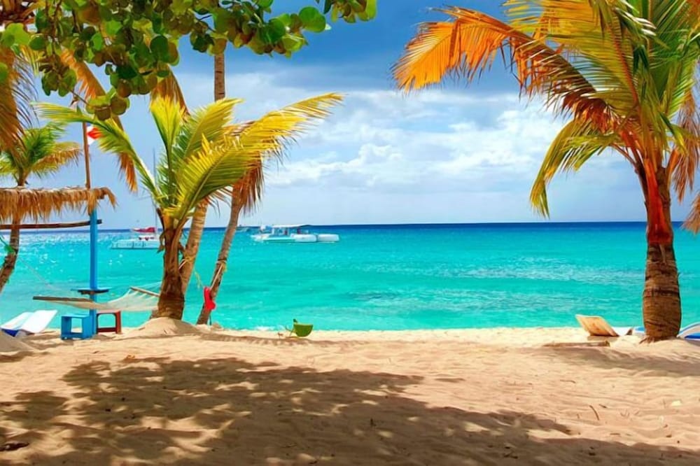 Beach & Waterfront