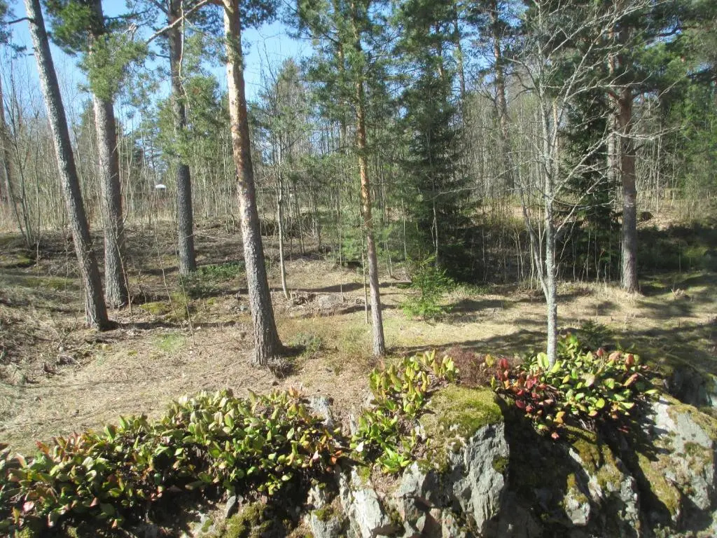 Hotelli Tarjanteen majoitushuoneet Virrat - Chambres