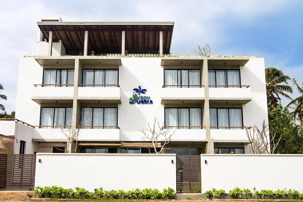 Lazy Koala Hostel - Adults Only