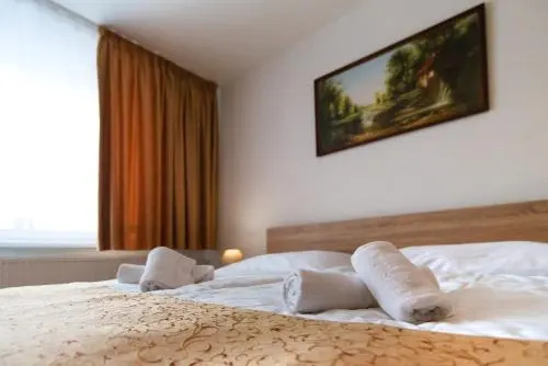 Hotel Lesana - Général