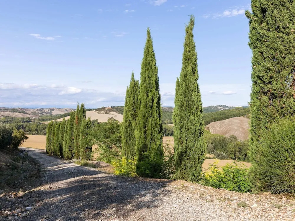 360 Degree View of the Tuscan