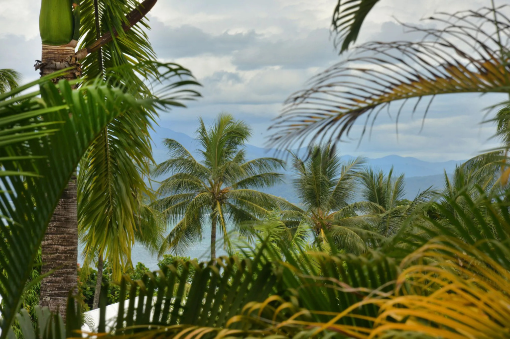 Beach & Waterfront