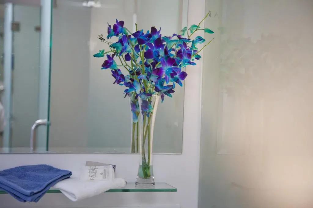 Grand Hotel Wyong - Chambres