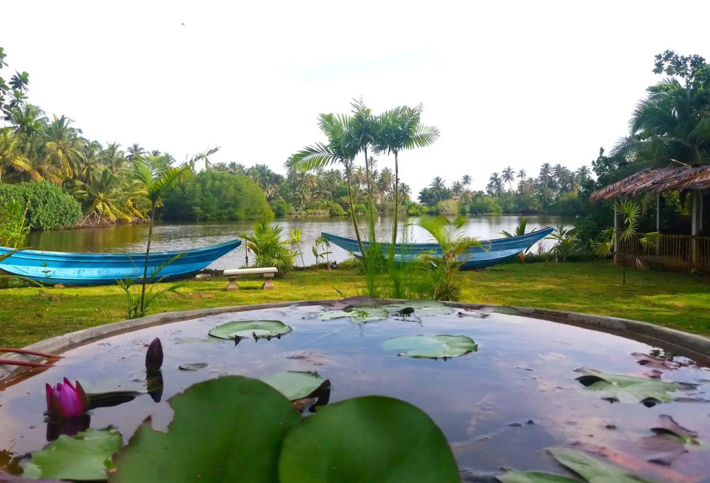 Lagoon Resort Goviyapana - Général