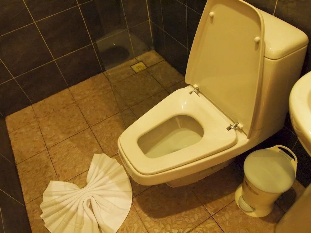 Hotel photo 7