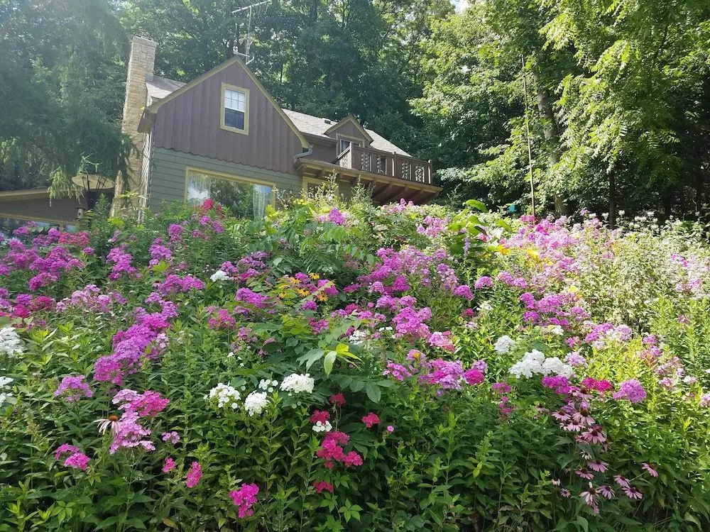 Contented Cottage Bed and Breakfast