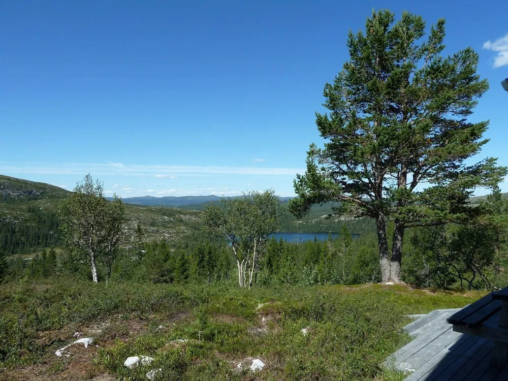 Furulie Cabin - Flå - фото 8