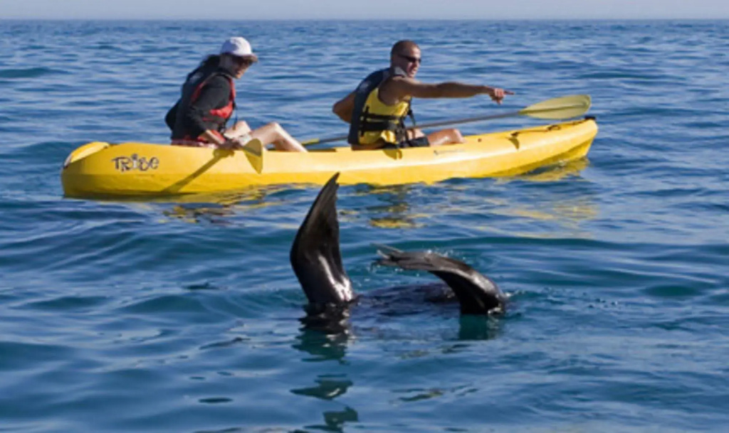 Catlins Newhaven Holiday Park - Général