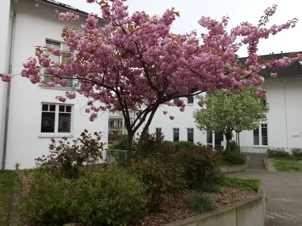 Villa Granitz Apartment