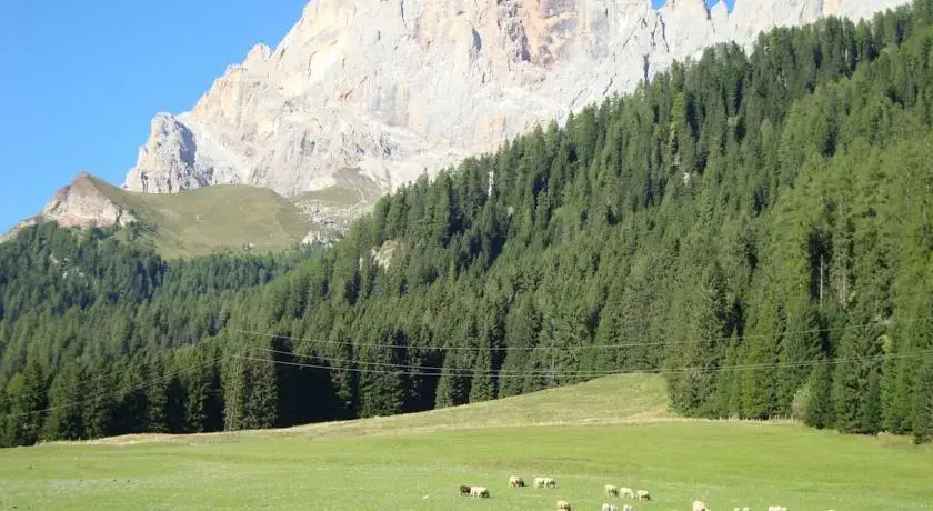 Maso Col
