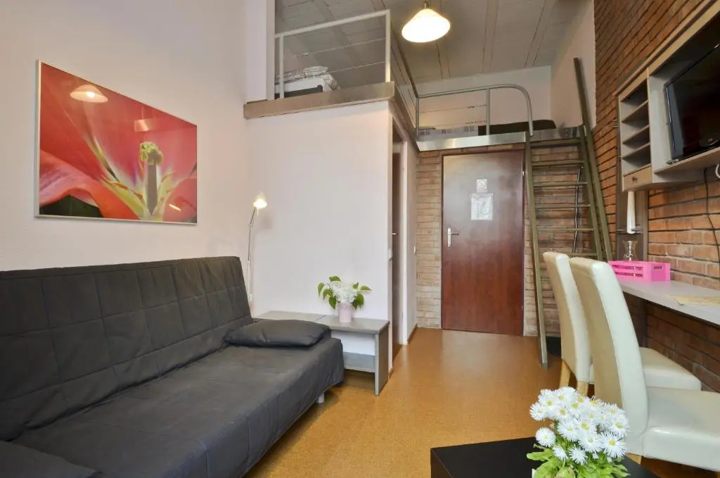 Superior Double Attic room (full double bed)