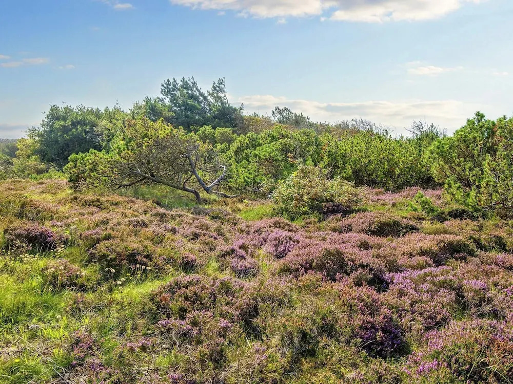 12 Person Holiday Home in Ringkobing-by Traum - фото 13