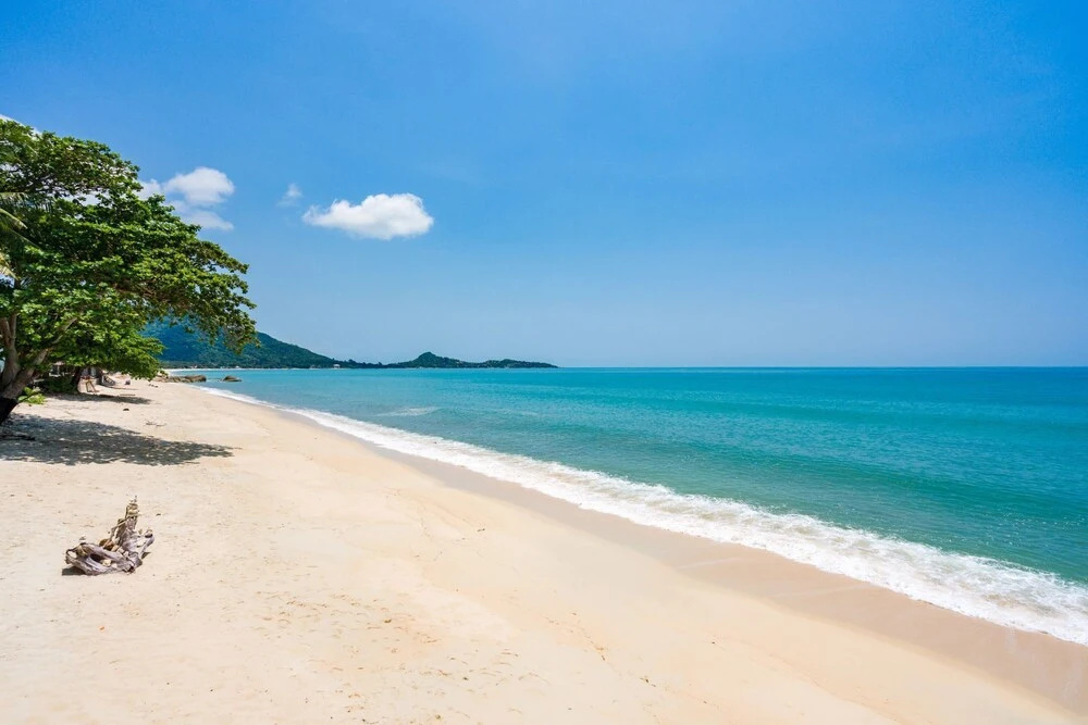 Beach & Waterfront
