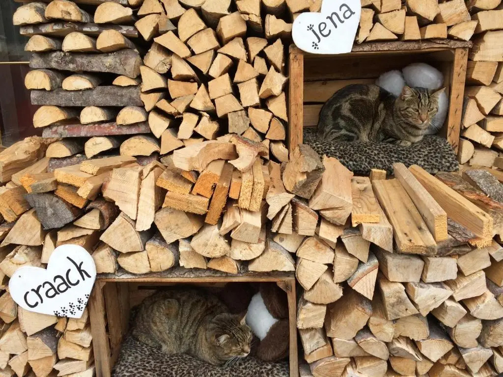 Alpine Touring Hotel